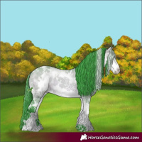 Horse Color:Watercolor White Spotted Bay Ice Dun Sabino