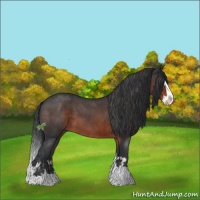 Horse Color:Brown Roan Sabino Splash