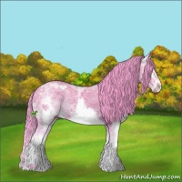 Horse Color:Watercolor Brown Ice Sabino Splash 