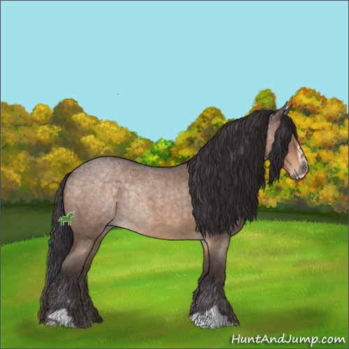 Horse Color:Buckskin Roan Sabino Rabicano