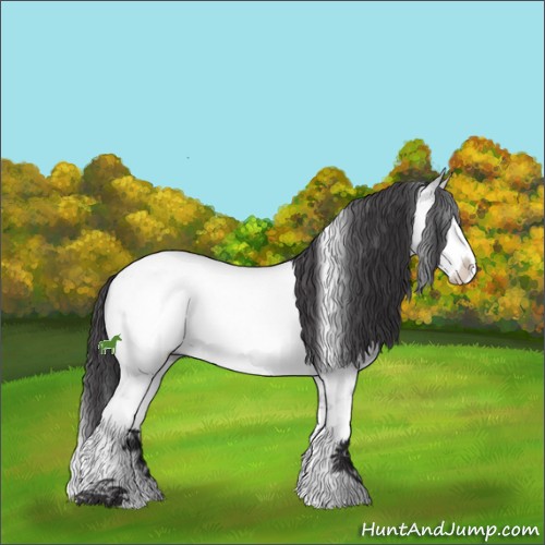 Horse Color:Buckskin Chinchilla Sabino Splash Rabicano 