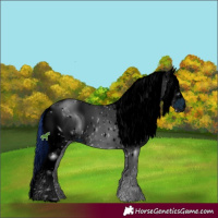 Horse Color:ERROR: UNKNOWN ANOMALY