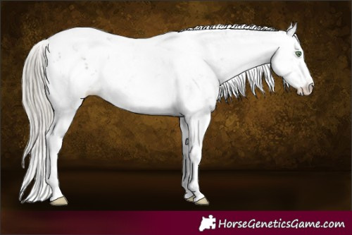 Horse Color:Silver Smoky Grullo Sabino 