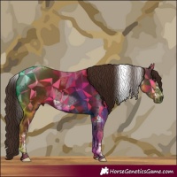 Horse Color:White Spotted Liver Chestnut Tobiano Frame