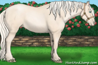 Horse Color:Gold Cream Champagne Pearl 