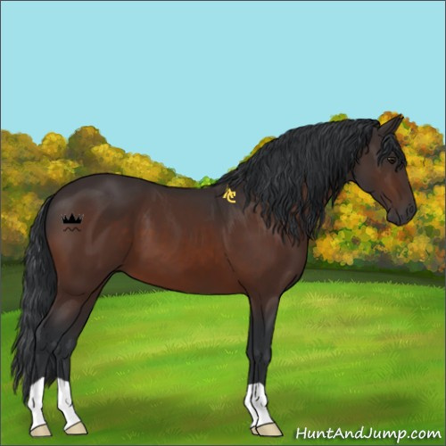 Horse Color:Brown 