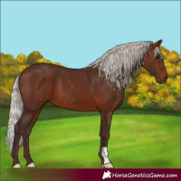 Horse Color:Silver Brown 