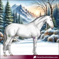 Horse Color:Bay Sabino