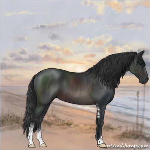 Horse Color:Brown Sabino 