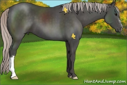 Horse Color:Silver Black