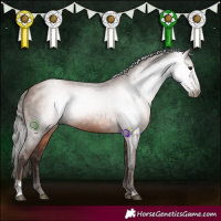 Horse Color:Gray Black Pearl Sabino Rabicano 