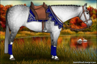 Horse Color:Gray Black 