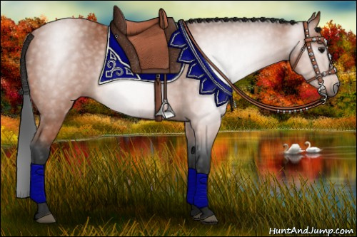 Horse Color:Gray Bay