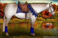 Horse Color:Gray Chestnut 