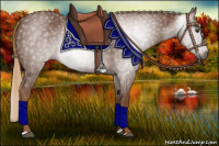 Horse Color:Gray Chestnut 