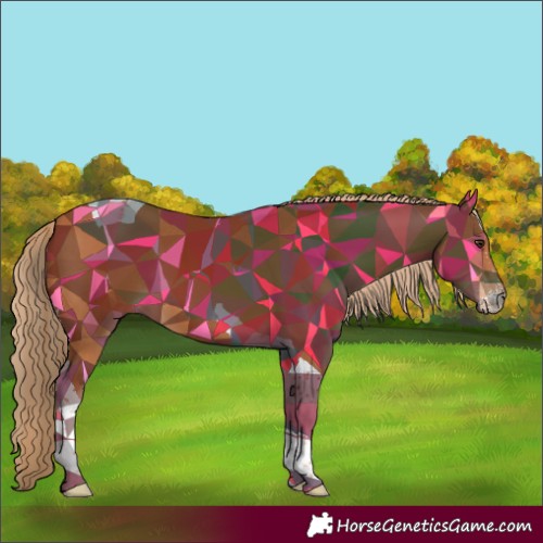 Horse Color:Chestnut Sabino Tobiano 