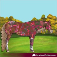 Horse Color:Chestnut Sabino Tobiano
