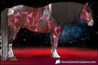 Horse Color:Bay Splash Tobiano