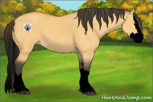 Horse Color:Void Buckskin Dun Sabino Splash 