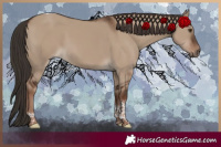 Horse Color:Liver Red Dun Tobiano