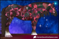 Horse Color:Liver Chestnut Tobiano 