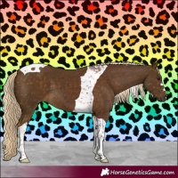 Horse Color:Chocolate Palomino Tobiano 