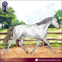 Horse Color:Chestnut Near Fewspot 