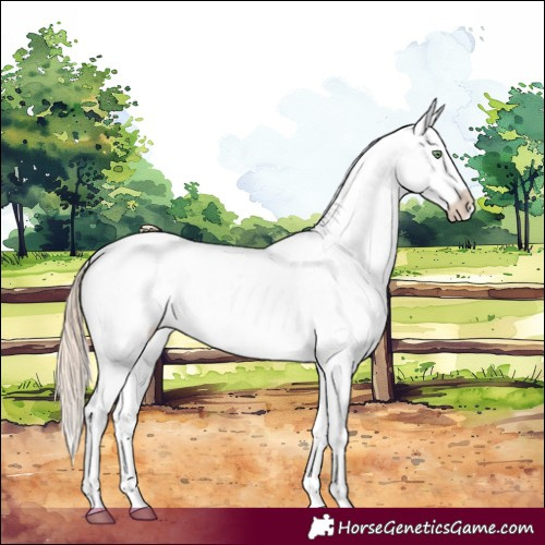 Horse Color:White Spotted Gold Champagne Roan Dun Leopard