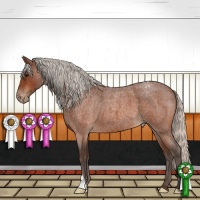 Horse Color:Silver Bay Roan Varnish 