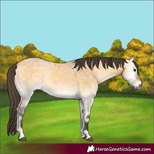 Horse Color:Buckskin Ice Onyx 