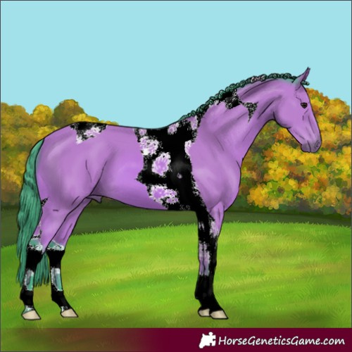 Horse Color:Watercolor Bay Tobiano 