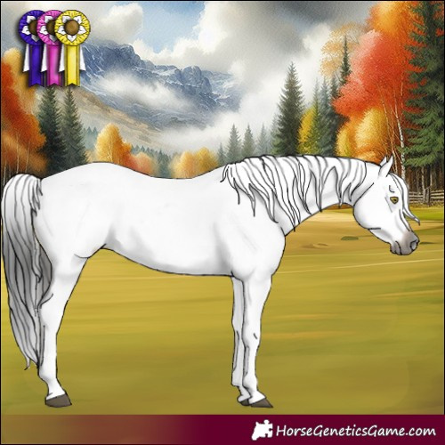 Horse Color:Gray Brown Dun Sabino Appaloosa Brindle