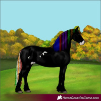 Horse Color:Painted Watercolor Blue Onyx Ice Tobiano Appaloosa 