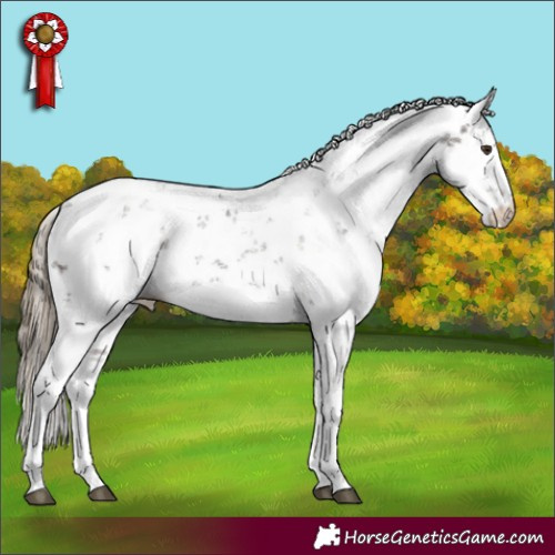 Horse Color:Liver Chestnut Sabino