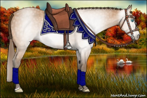 Horse Color:Gray Perlino