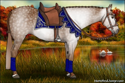 Horse Color:Gray Chestnut 