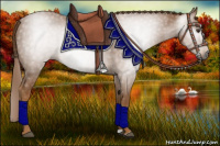Horse Color:Gray Chestnut 