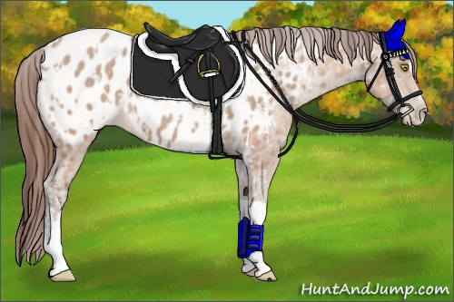 Horse Color:Amber Champagne Sabino Tobiano Appaloosa  and Amber Champagne Sabino Tobiano Appaloosa 