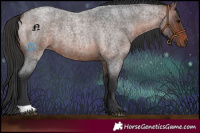 Horse Color:Brown Roan 