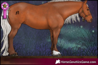 Horse Color:Silver Bay 