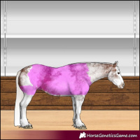 Horse Color:White Spotted Silver Brown Splash 