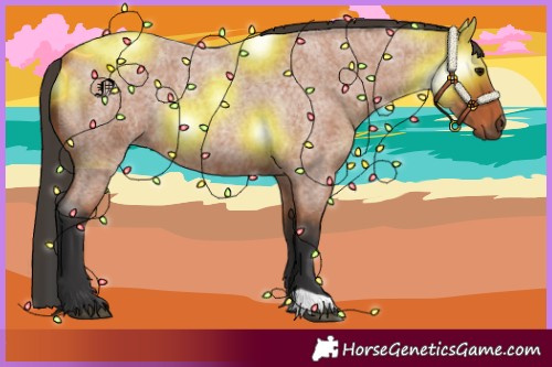 Horse Color:Bay Roan Rabicano 