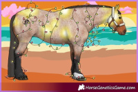 Horse Color:Bay Roan Rabicano 