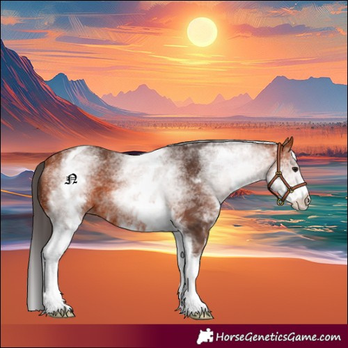 Horse Color:White Spotted Bay 