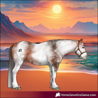 Horse Color:White Spotted Bay 
