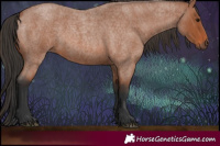 Horse Color:Bay Roan 