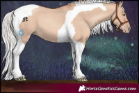 Horse Color:Silver Sable Champagne Dun Tobiano 