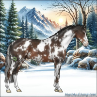 Horse Color:White Spotted Liver Chestnut Sabino 