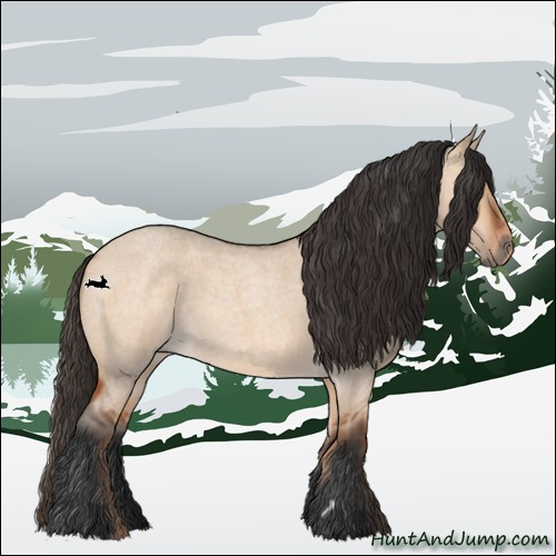 Horse Color:Bay Roan Dun 