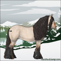 Horse Color:Bay Roan Dun